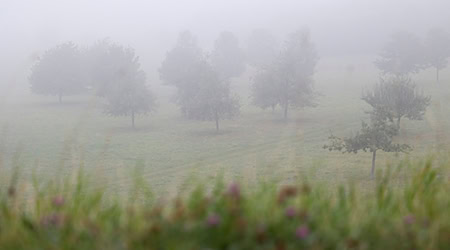 Das Wetter soll grau und neblig werden. (Symbolbild) / Foto: Michael Matthey/dpa