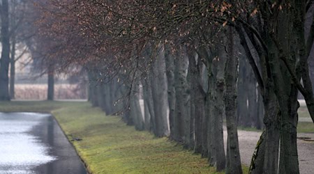 Schlossgarten von Schwerin. Trübes-nebeliges Wetter erwartet die Menschen aus Mecklenburg-Vorpommern. (Symbolbild) / Foto: Frank Hormann/dpa-Zentralbild/dpa