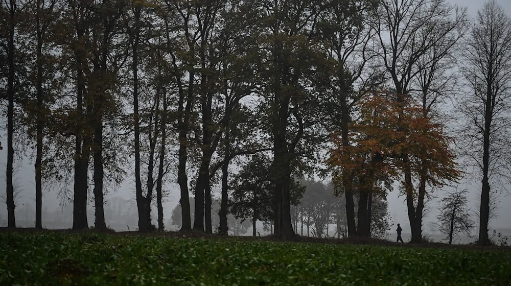 Das Wetter ändert sich, es wird kälter und regnerisch in Niedersachsen und Bremen. (Symbolbild) / Foto: Lars Penning/dpa