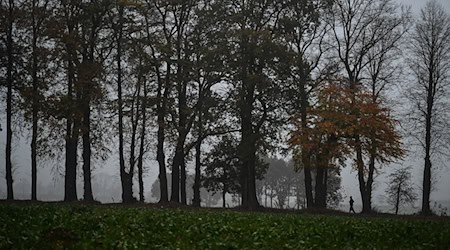 Das Wetter ändert sich, es wird kälter und regnerisch in Niedersachsen und Bremen. (Symbolbild) / Foto: Lars Penning/dpa