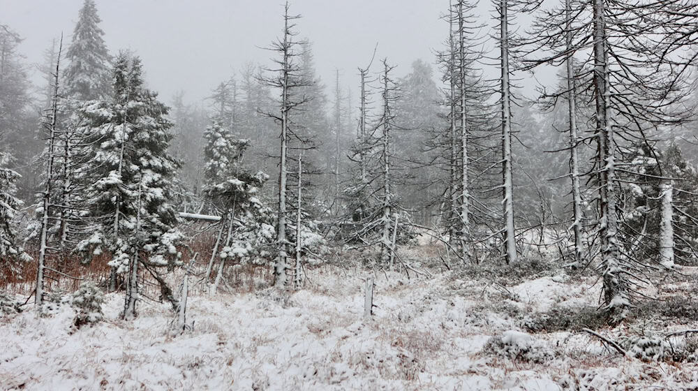 Auch auf dem Brocken hat es geschneit. / Foto: Matthias Bein/dpa