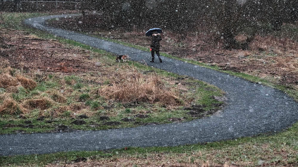 Der Deutsche Wetterdienst hat Schneeregen und winterliche Temperaturen für Niedersachsen angekündigt. (Symbolbild) / Foto: Stefan Jaitner/dpa