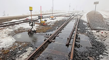 Wegen Sturmwarnungen des DWD haben die Schmalspurbahnen am Brocken den Betrieb eingestellt. (Archivild) / Foto: Matthias Bein/dpa