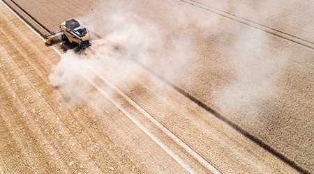 Die Gemeinsame Agrarpolitik (GAP) soll die Landwirtschaft in Europa ökologischer und nachhaltiger machen –  auch in Niedersachsen. (Archivbild) / Foto: Julian Stratenschulte/dpa