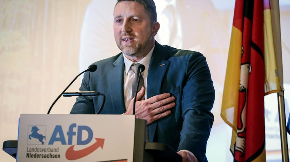 Brandes ist AfD-Spitzenkandidat aus Niedersachsen. / Foto: Focke Strangmann/dpa