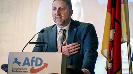 Brandes ist AfD-Spitzenkandidat aus Niedersachsen. / Foto: Focke Strangmann/dpa