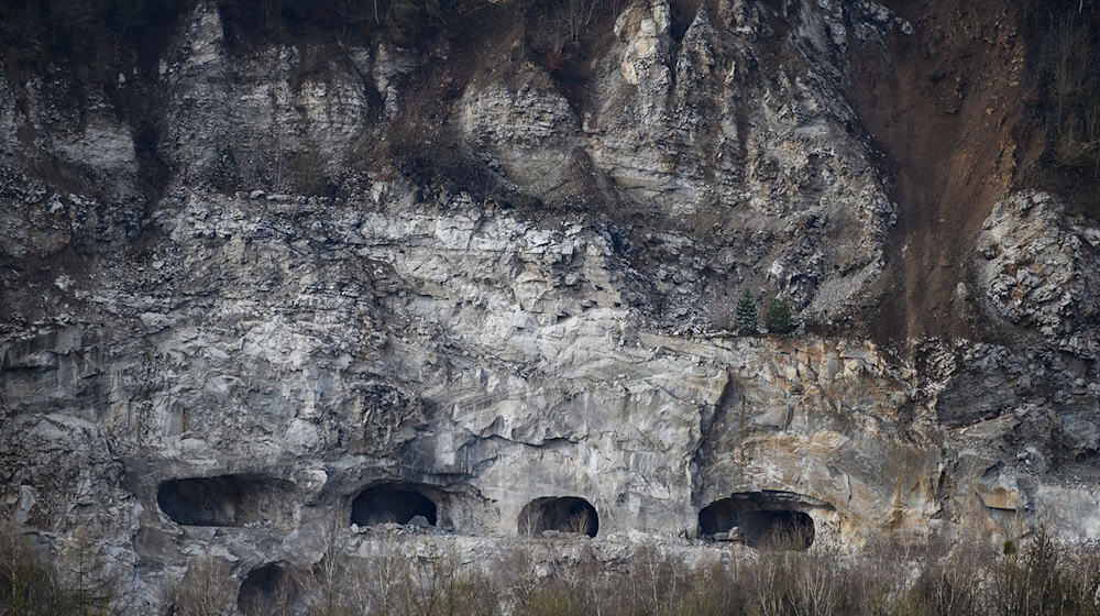 Umweltschützer fürchten durch Probebohrungen Auswirkungen auf die seltenen Gipskarstformationen im Harz. (Archivbild) / Foto: Swen Pförtner/dpa