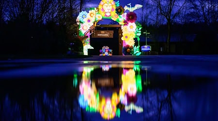 Der Serengeti Park in Hodenhagen im Heidekreis hat 1000 Lichtobjekte aufgestellt, darunter sind teils meterhohe Tier- und Fantasiefiguren. / Foto: Philipp Schulze/dpa