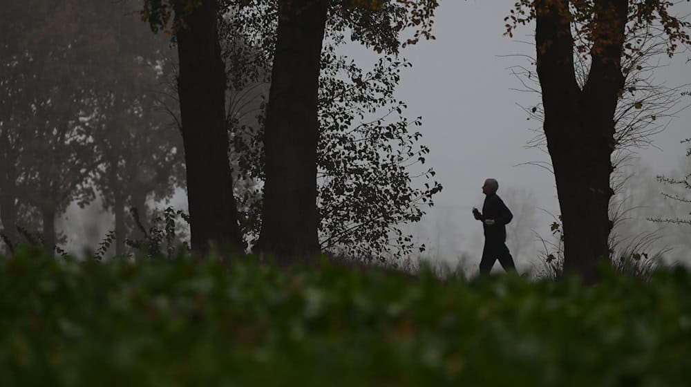 Das Wetter bleibt am Wochenende in Niedersachsen und Bremen unbeständig. (Archivbild) / Foto: Lars Penning/dpa