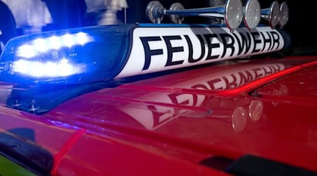 Großbrand in Tischlerei mit Millionenschaden (Symbolbild) / Foto: Sven Hoppe/dpa