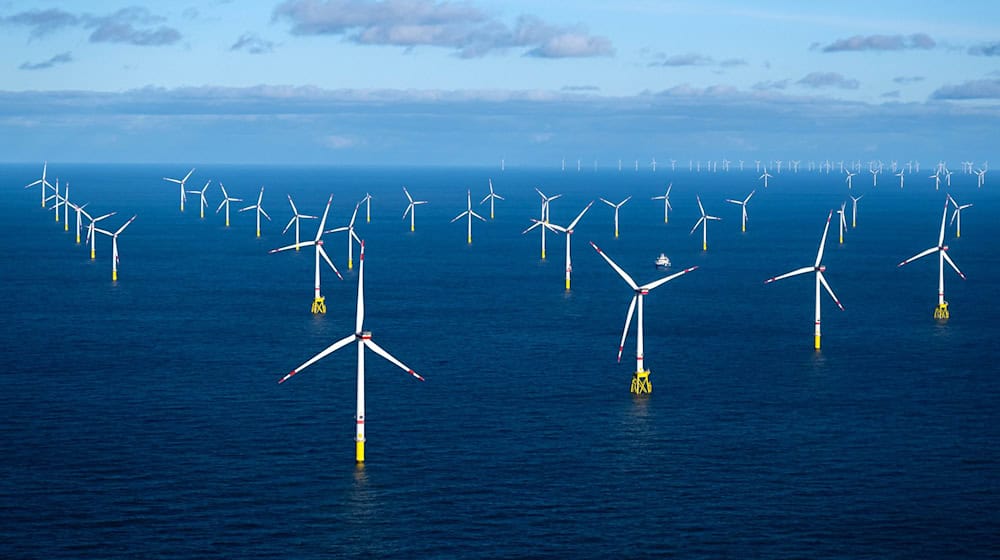 Die Windbranche blickt anders als viele andere Industriebereiche positiv in die Zukunft. Sie rechnet auch damit, dass die Windräder auf hoher See immer größer werden (Archivbild) / Foto: Sina Schuldt/dpa