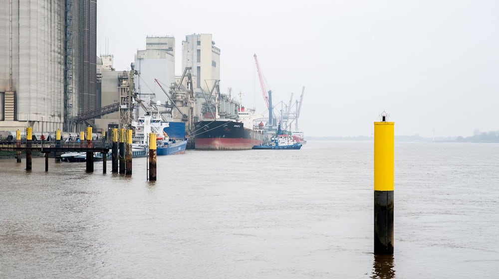 Aus Sicht von Umweltverbänden ist eine Vertiefung der Unterweser nicht erforderlich. (Archivfoto) / Foto: Hauke-Christian Dittrich/dpa