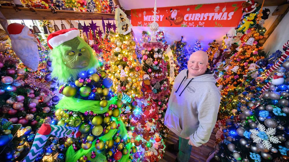 Die Familie Jeromin sammelt Weihnachtsbäume - in diesem Jahr 600.  / Foto: Julian Stratenschulte/dpa