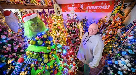 Die Familie Jeromin sammelt Weihnachtsbäume - in diesem Jahr 600.  / Foto: Julian Stratenschulte/dpa