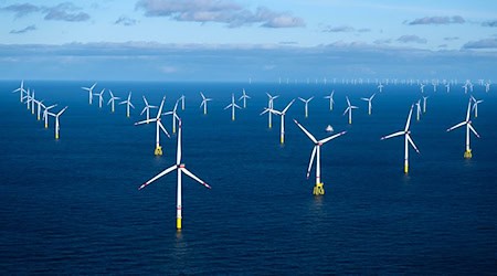 Die Offshore-Windkraft soll in den kommenden Jahren deutlich ausgebaut werden. (Archivbild) / Foto: Sina Schuldt/dpa