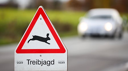 Bei einer Treibjagd im Landkreis Osnabrück wurde eine Leiche gefunden. (Symbolbild) / Foto: Friso Gentsch/dpa