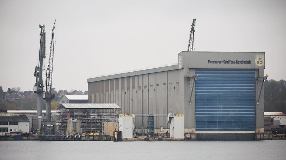 Die Werft FSG bekommt einen neuen Besitzer (Archivbild). / Foto: Christian Charisius/dpa