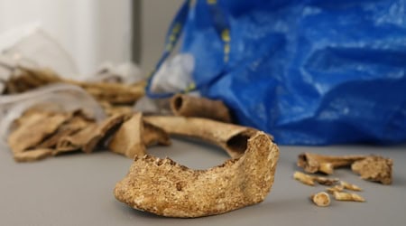 Die Knochen sind die sterblichen Überreste eines Menschen, der offenbar vor rund 1.500 Jahren lebte. / Foto: Stadt Fulda/dpa