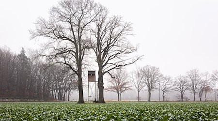 Die niedersächsische Jägerschaft will das bestehende Jagdrecht beibehalten. (Symbolbild) / Foto: Moritz Frankenberg/dpa