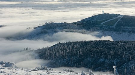 Von dem Schnee des vergangenen Wochenendes liegt im Harz nicht mehr allzu viel - doch es soll wieder mehr werden. (Archivfoto) / Foto: Matthias Bein/dpa