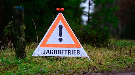 Niedersachsens Landwirtschaftsministerin Miriam Staudte (Grüne) hat Eckpunkte zur Änderung des Jagdgesetzes vorgelegt. (Archivfoto) / Foto: Philipp Schulze/dpa