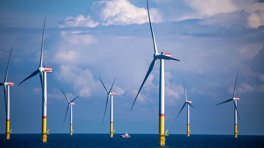 Ein neuer Flächenentwicklungsplan regelt den Ausbau der Offshore-Windenergie bis 2034. (Archivbild) / Foto: Jens Büttner/dpa-Zentralbild/dpa