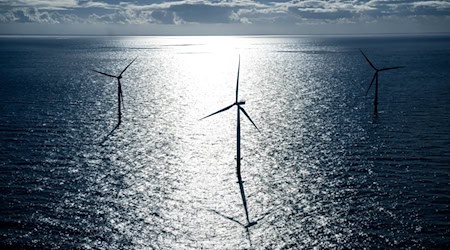 Mit nicht verbrauchtem Windstrom soll künftig auf der Nordsee Wasserstoff hergestellt werden. (Archivbild) / Foto: Sina Schuldt/dpa