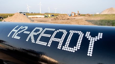 Die neue Produktionsanlage für grünen Wasserstoff soll im friesischen Sande gebaut werden. (Symbolbild) / Foto: Hauke-Christian Dittrich/dpa