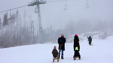 Schlittenfahrer auf dem Wurmberg freuen sich über den Schnee.  / Foto: Matthias Bein/dpa