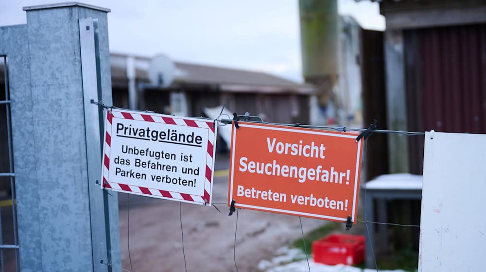 Deutsche Fleisch- und Milchproduzenten müssen nach dem Ausbruch von Maul- und Klauenseuche mit Schwierigkeiten beim Export rechnen. (Symbolbild) / Foto: Annette Riedl/dpa