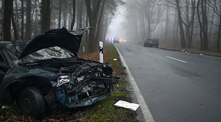 Bei dem Unfall in Meppen wurden sieben Menschen verletzt.  / Foto: Lars Penning/dpa