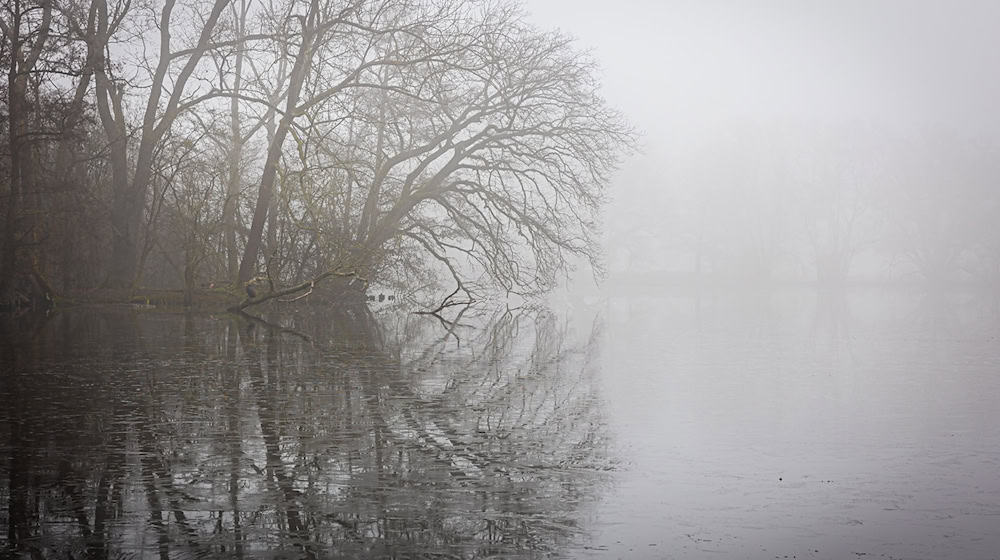 Zum Wochenstart bleibt es in Niedersachsen und Bremen neblig-trüb. (Symbolbild) / Foto: Moritz Frankenberg/dpa