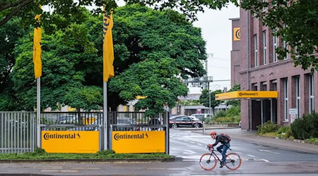 Das Werk in der Unternehmensheimat Hannover soll ein zentraler Standort in der Gesamtbetriebsstrategie von Contitech bleiben. (Archivbild) / Foto: Ole Spata/dpa