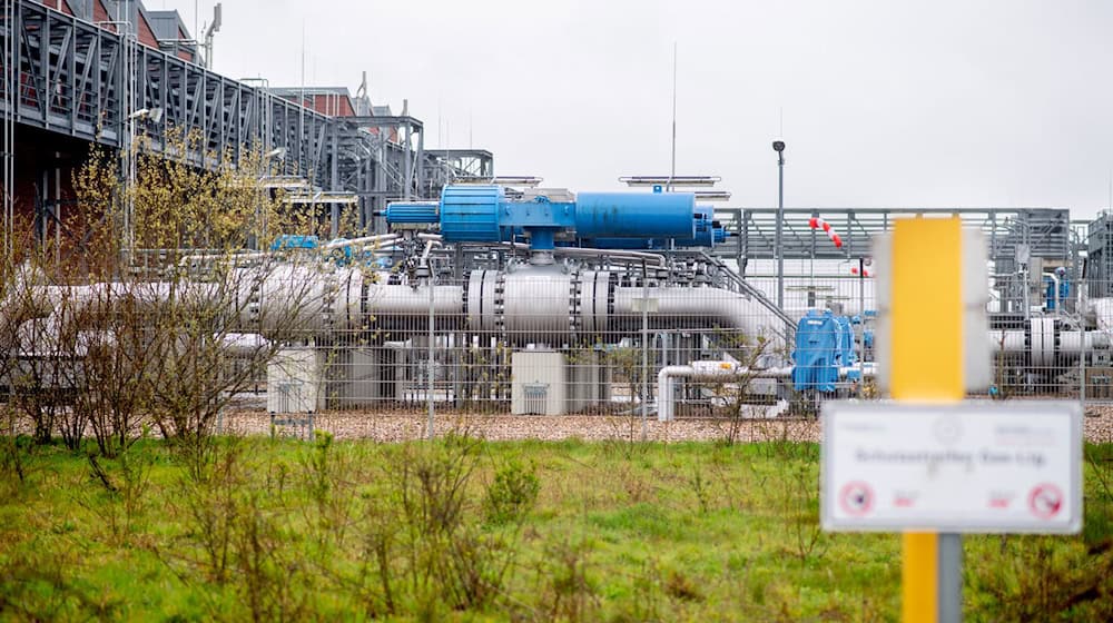 Zwei unterirdische Hohlräume wurden für die testweise Wasserstoff-Speicherung umgerüstet. (Archivbild)  / Foto: Hauke-Christian Dittrich/dpa