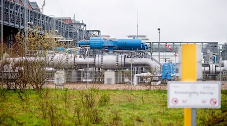 Zwei unterirdische Hohlräume wurden für die testweise Wasserstoff-Speicherung umgerüstet. (Archivbild)  / Foto: Hauke-Christian Dittrich/dpa