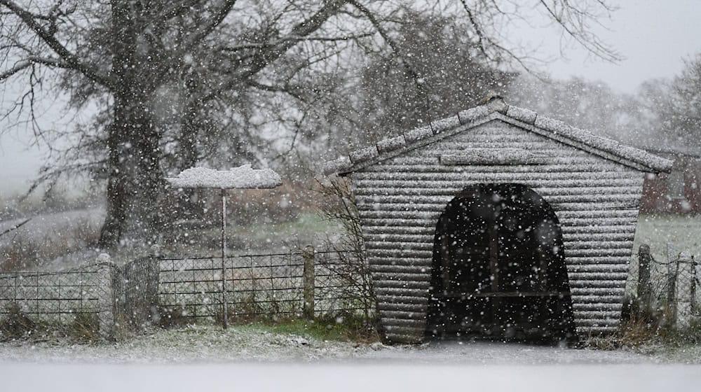 In Ostfriesland freuen sich die Menschen über Schnee. / Foto: Lars Penning/dpa