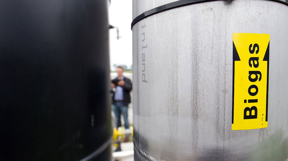 Ältere Biogasanlagen können zunächst weiter betrieben werden - eine entsprechende Gesetzesänderung hat am Freitag den Bundesrat passiert. (Archivbild) / Foto: picture alliance / dpa