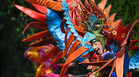 Der Samba-Karneval findet dieses Jahr zum letzten Mal statt. (Archivfoto) / Foto: Karsten Klama/dpa