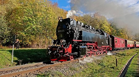 Die Harzer Schmalspurbahnen kämpfen mit Verlusten. (Archivbild) / Foto: Matthias Bein/dpa