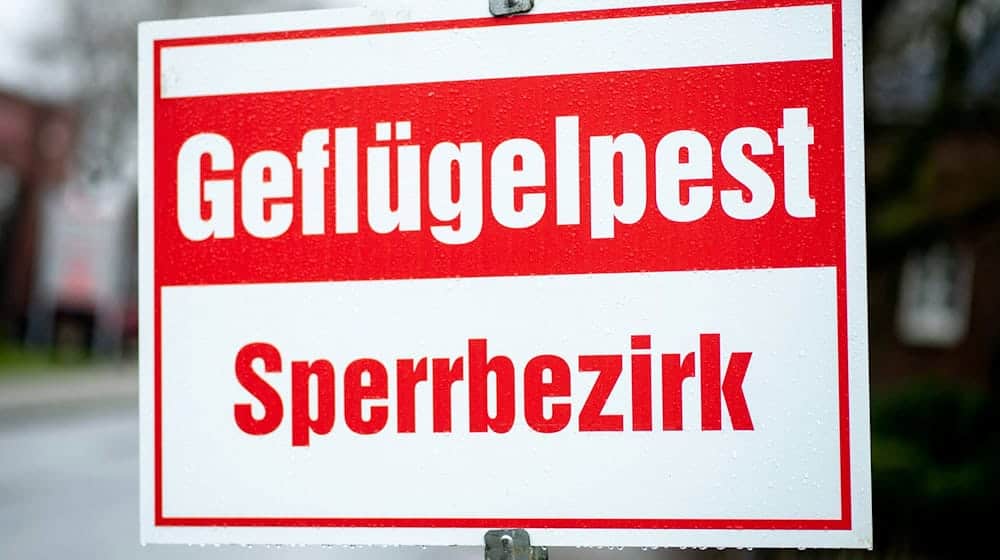 Um eine Ausbreitung der Tierseuche zu verhindern, wurde der Bestand von 12.000 Legehennen in einem Betrieb in Friesland getötet. (Symbolbild) / Foto: Hauke-Christian Dittrich/dpa