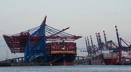 Containerschiffe von Hapag-Lloyd und Maersk liegen im Hamburger Hafen. (Archivbild) / Foto: Marcus Brandt/dpa