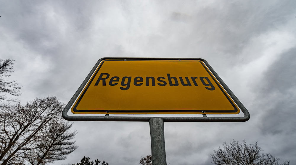 Schon in vergangenen Jahren gab es in Regensburg die meisten Einpersonen-Haushalte. (Symbolbild) / Foto: Armin Weigel/dpa