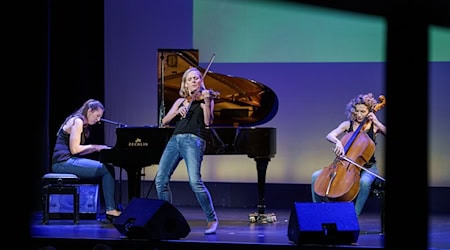 Seit mehr als 20 Jahren gibt es das Quartett Salut Salon. (Archivbild) / Foto: Axel Heimken/dpa