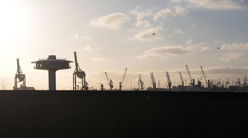 Der Hamburger Hafen ist der wichtigste Deutschlands. (Archivbild) / Foto: Marcus Brandt/dpa