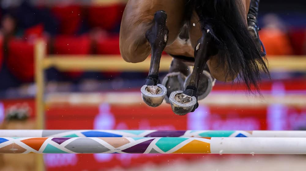 Eine 19 Jahre alte Nachwuchs-Springreiterin ist bei einem Trainingsunfall ums Leben gekommen (Symbolbild).  / Foto: Jan Woitas/dpa