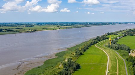 Die Weser nördlich von Bremen: Nur drei Prozent der Gewässer in Niedersachsen sind laut BUND in gutem Zustand. (Archivfoto) / Foto: Sina Schuldt/dpa