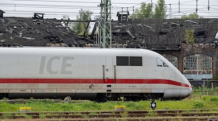 Ein Zug auf dem Weg von Köln nach Berlin wurde in Gifhorn gestoppt. (Symbolbild)  / Foto: Stefan Sauer/dpa