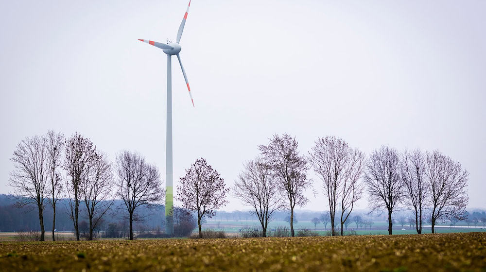 Das Landeskriminalamt in Niedersachsen hat im vergangenen Jahr Dutzende Fälle von Kupferdiebstählen oder Diebstahlversuchen in Windkraftanlagen registriert. (Symbolbild)  / Foto: Moritz Frankenberg/dpa