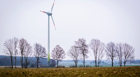 Das Landeskriminalamt in Niedersachsen hat im vergangenen Jahr Dutzende Fälle von Kupferdiebstählen oder Diebstahlversuchen in Windkraftanlagen registriert. (Symbolbild)  / Foto: Moritz Frankenberg/dpa