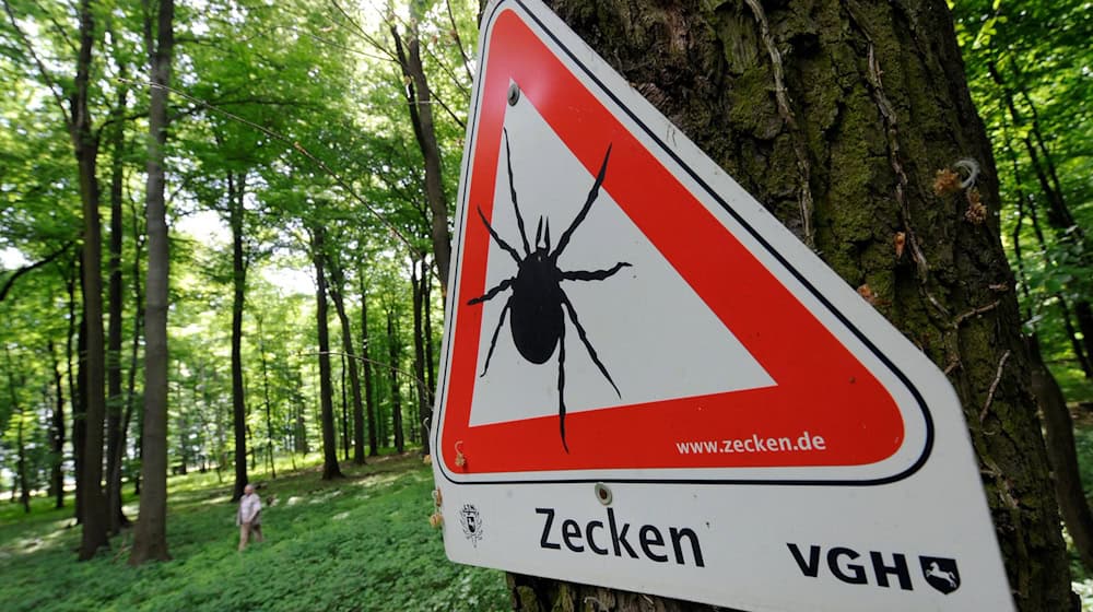 Die Zecken-Saison beginnt bald wieder. (Archivbild) / Foto: Holger Hollemann/dpa